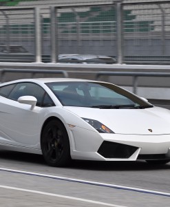 Lamborghini_Gallardo_LP560